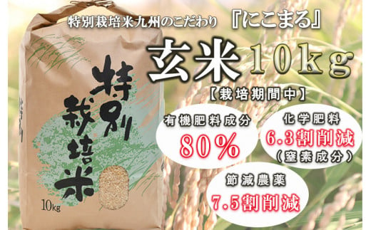 【特別栽培米】九州のこだわり「にこまる」玄米10kg[AHAS002] 366467 - 長崎県諫早市