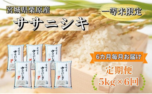 令和5年産新米＞特別栽培米 ササニシキ 14kg ta222【JA新みやぎ