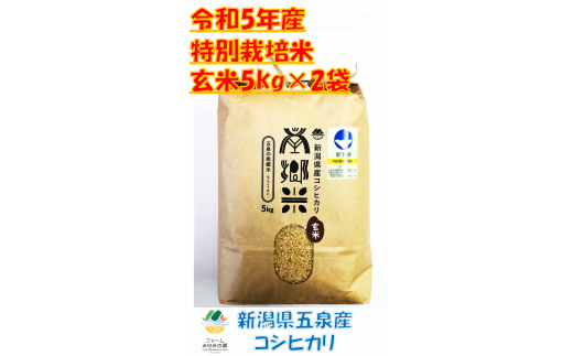 令和5年新米【F131】特別栽培米 新潟県五泉産コシヒカリ「南郷米」玄米