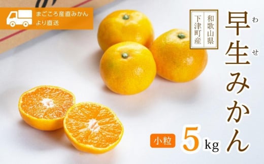 早生みかん5kg(小粒SS・Ｓサイズおまかせ)《赤秀》１１月中旬より発送開始　和歌山県より農園直送！まごころ産直みかん【北海道・沖縄県・一部離島 配送不可】SSサイズ　２S　小玉　贈答 976514 - 和歌山県海南市
