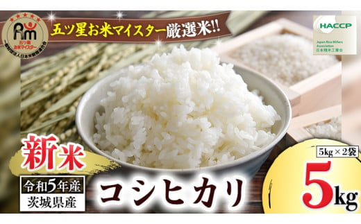 令和5年産 》 茨城県産 コシヒカリ 20kg ( 5kg × 4袋 ) 期間限定