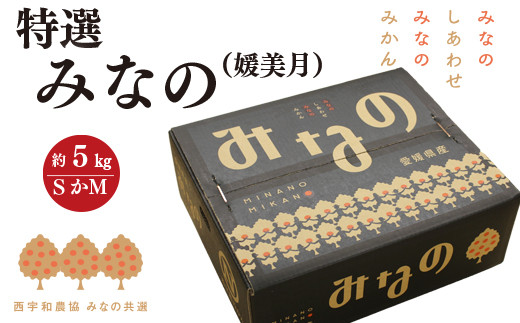 D28-1.みなの共選・特選「みなの（旧：媛美月（ひめみづき）」約5kg