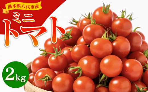 熊本県八代市産 ミニトマト 2kg 野菜