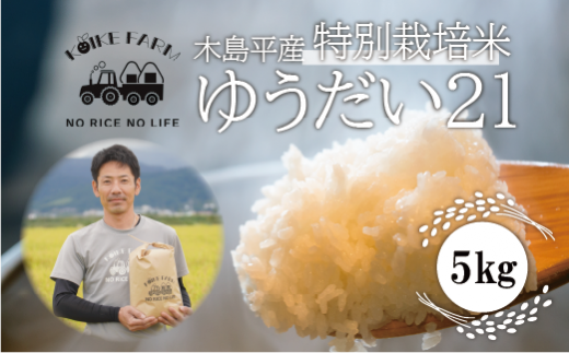 長野県木島平村のふるさと納税 木島平産 ゆうだい21 5kg | 米 ゆうだい21 希少 品種 特別栽培 寒暖差 木島平村 長野県 信州 減農薬 無化学肥料 特別栽培米