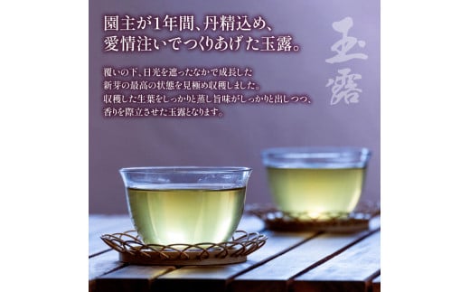 農林水産大臣賞受賞】 緑茶 飲み比べ セット【 玉露 ・ 閃き 】(各