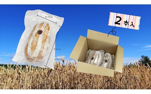 【定期便3】キタノカオリ小麦のカンパーニュ2本セットを3カ月連続お届け【24023】