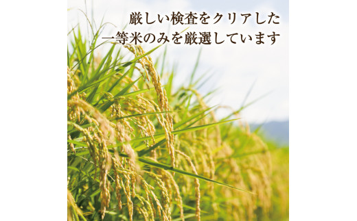令和5年産 福岡県産 米 食べ比べ＜白米＞セット「夢つくし」と「元気