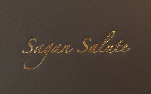 Sagan Salute――佐賀の祝砲