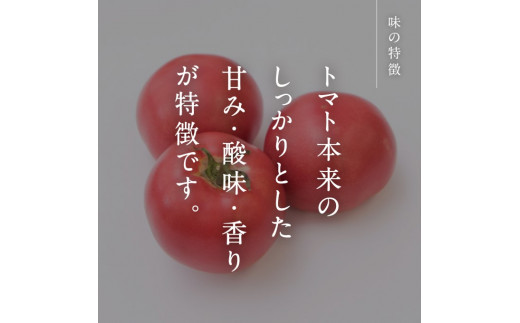 №5667-0391]【期間限定】日南トマト® 約4kg（20～24玉／箱） - 鳥取県