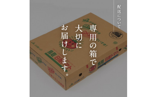 №5667-0391]【期間限定】日南トマト® 約4kg（20～24玉／箱） - 鳥取県