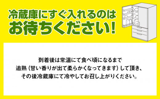 アイテムID:446129の画像5枚目