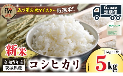 6ヶ月 連続配送 定期便 】《 令和5年産 》 茨城県産 コシヒカリ 10kg