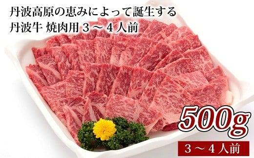 丹波牛 焼肉用3～4人前 （国産 和牛 黒毛和牛 牛肉 丹波牛 焼肉 焼肉用 500g 3-4人前 牛 赤身 冷凍 グルメ 贈答 ギフト お歳暮 お中元 アウトドア キャンプ バーベキュー BBQ お取り寄せ 京都 京丹波町 丹波高原 いづつ屋） 1067349 - 京都府京都府庁