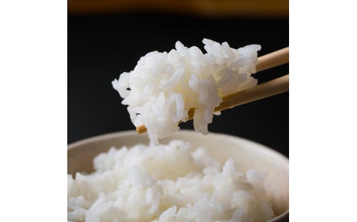B226-36 くまさんの輝き　匠の米玄米１０ｋｇ 1063286 - 熊本県芦北町
