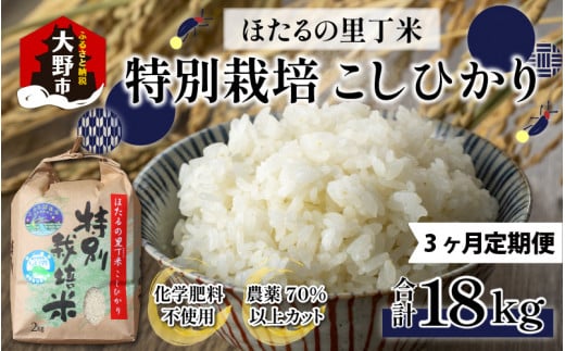 【令和5年産】【3ヶ月定期便】ベストファーマー ほたるの里 特別栽培こしひかり 6kg（2kg×3） × 3回 計18㎏ 化学肥料不使用 農薬70％以上カット [C-002002] 265896 - 福井県大野市