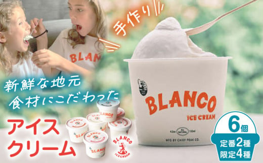 ハンドメイド アイスクリーム 食べ比べ 6個セット 詰め合わせ アイスクリーム あいす アイス クリーム 人気【BLANCO ICE CREAM】[YCM001] 1023103 - 熊本県山都町