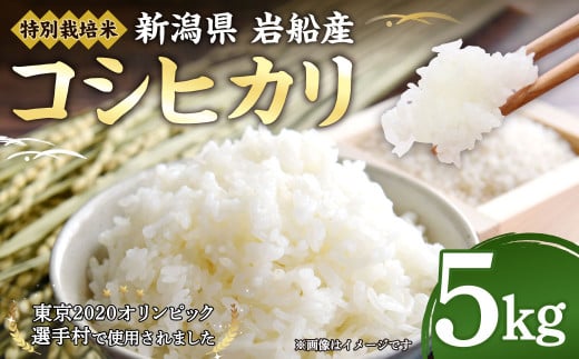 A4189 【令和5年産米】特別栽培米 新潟県岩船産 コシヒカリ 5kg