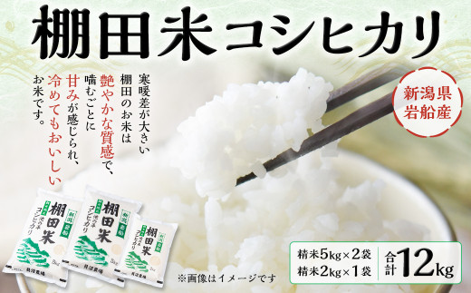 未着用品 R5年 新米 新潟県産コシヒカリ✨棚田ミネラル米✨玄米 30kg