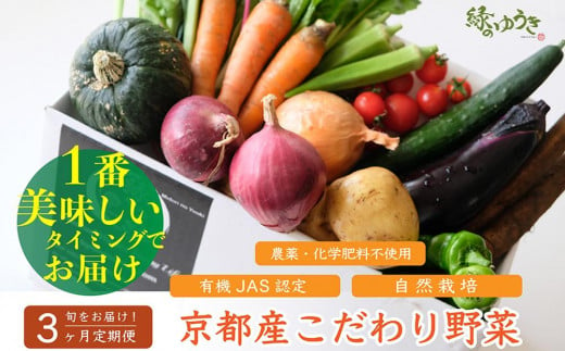 ＜3か月定期便＞【緑のゆうき】野菜の売上の１％が社会の応援に　京都産こだわりの野菜（有機野菜、栽培期間中農薬・化学肥料不使用など）の一番美味しいタイミングでお届けするセット 1061825 - 京都府京都市