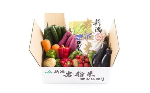 B4026 【令和5年産米】新潟県岩船米コシヒカリと季節の野菜セット②
