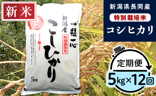 48-05Z【12ヶ月連続お届け】新潟県長岡産特別栽培米コシヒカリ5kg