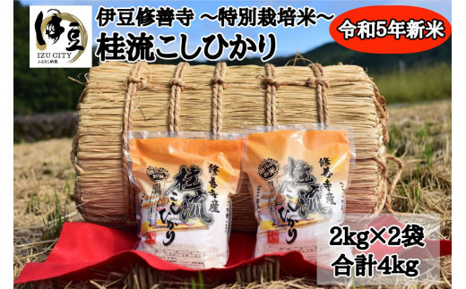 御前崎産 特選釜揚げしらす70g×15袋 - 静岡県御前崎市｜ふるさと