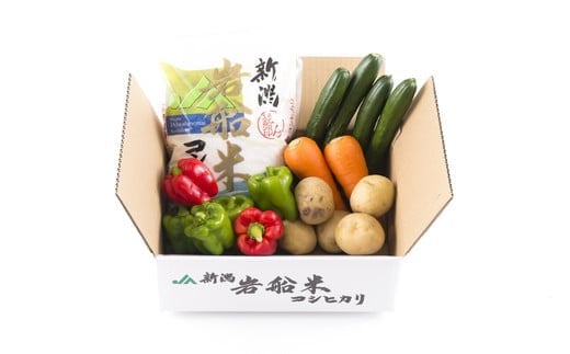 A4031 【令和5年産米】新潟県岩船米コシヒカリと季節の野菜セット①