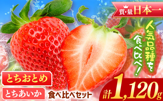 とちおとめ とちあいか セット 1120g 食べ比べ | 日本一 いちご生産量