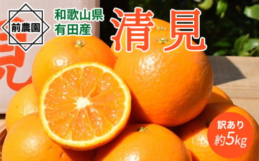 【2024年 先行予約】【産地直送】和歌山県産 清見 【訳あり・家庭用】 5kg (S～3Lサイズ混合)　 ※2024年3月上旬～3月下旬頃に順次発送予定 ※着日指定不可