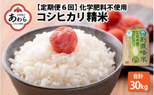 【令和5年産】【定期便６回】 化学肥料不使用コシヒカリ 精米 5kg×6回 / 白米 米 福井県あわら市産 美味しい 特別栽培米 減農薬 安心な米  旨味 甘み もっちり エコファーマー こしひかり 冷蔵保管米|株式会社東山グリーンツーリズム