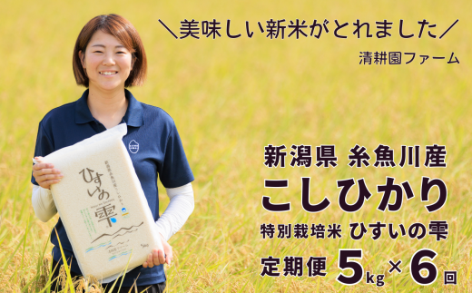 令和5年産新米】新潟県糸魚川産こしひかり『ひすいの雫』５kg×６ヶ月