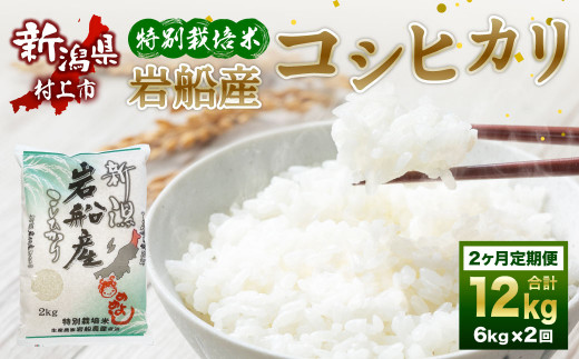 B4075 【令和5年産米】特別栽培米 新潟県岩船産 コシヒカリ 12kg