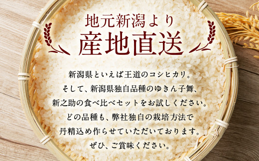 A4110 【令和5年産米】違いを楽しめるお米セット 新潟県産 コシヒカリ・ゆきん子舞・新之助 計6kg