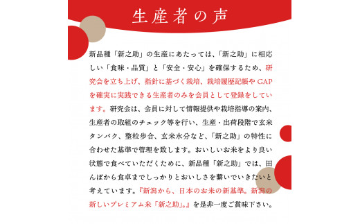 2024年3月上旬より発送】新潟県上越・妙高産新之助2kg×3回（計6kg