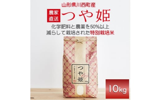 令和6年産　山形県産　つや姫　10kg【1144531】 327404 - 山形県川西町