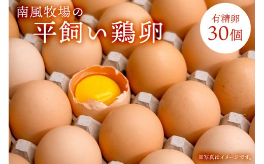 平飼い鶏卵　有精卵30個　10個入3パック（割れ保証3個含む）mi0088-0001