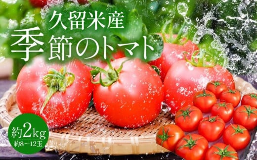 久留米産 季節のトマト2kg 314054 - 福岡県久留米市