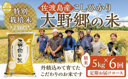 令和５年産新米】佐渡島産 特別栽培米こしひかり「大野郷の米」精米2kg