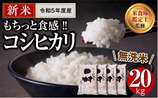 ＼ 年内発送 12/24(日)決済完了分まで！／【 新米 令和5年産 】 【 無洗米 】 田村産 コシヒカリ 20kg (5kg×4袋) ギフト  お歳暮 冬ギフト 贅沢 のし対応 １週間以内発送 福島 ふくしま 田村 贈答 美味しい 米 kome コメ ご飯 ブランド米 精米したて  お米マイスター