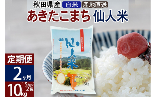 定期便2ヶ月】新米 令和5年産 あきたこまち 秋田県産「仙人米」白米