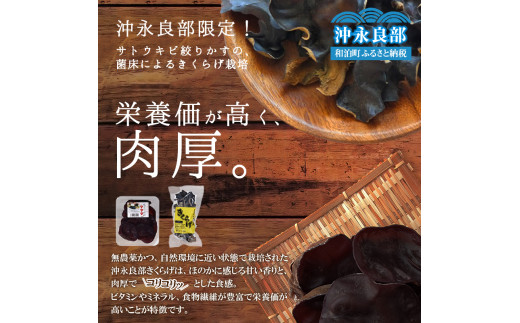 鹿児島県和泊町のふるさと納税 お礼の品ランキング【ふるさとチョイス】