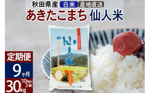 定期便9ヶ月】新米 令和5年産 あきたこまち 秋田県産「仙人米」白米