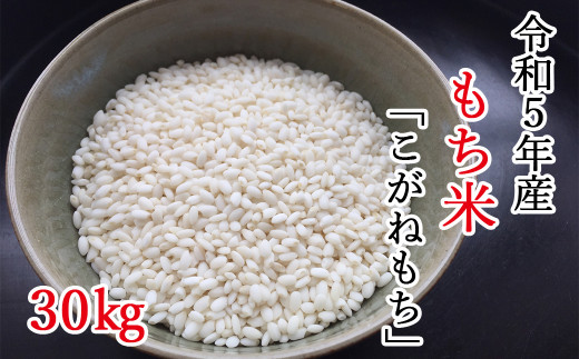 【令和5年産 新米】平泉町産もち米 こがねもち 30kg（10㎏×3袋 ） 1065734 - 岩手県平泉町