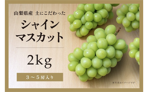 【✩先行予約✩2024年/令和6年発送分】土にこだわったシャインマスカット　2㎏　3房以上　[山梨 シャインマスカット]