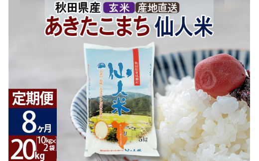 定期便8ヶ月】新米 令和5年産 あきたこまち 秋田県産「仙人米」玄米