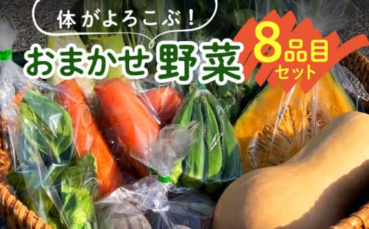 体がよろこぶ！おまかせ野菜8品目セット 1084971 - 福岡県久留米市