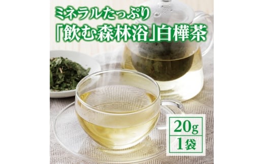 “飲む森林浴”　白樺茶＜OT-002＞【1394237】