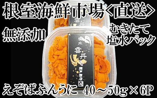 C-14051 【12月8日決済分まで年内配送】 エゾバフンウニ(赤系)塩水パック40～50g×6P 1063851 - 北海道根室市