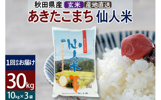 新米 令和5年産 あきたこまち 秋田県産「仙人米」玄米 30kg（10kg×3袋