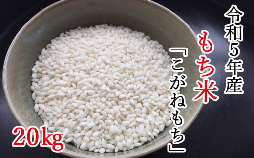 もち米 20kg(玄米重量)